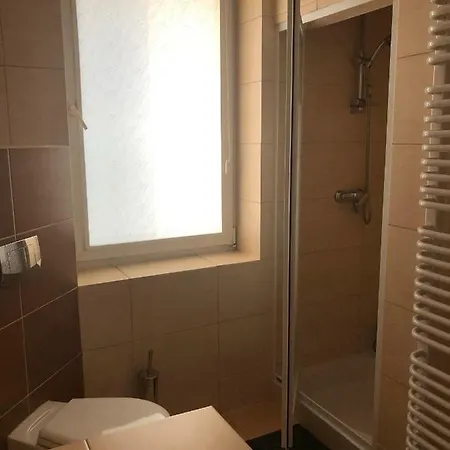 Rosa Проживание в семье Познань